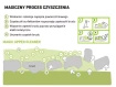 Pianka czyszcząca do butów Bama 150 ml